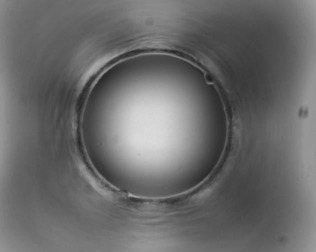 X0000112830981200908211212