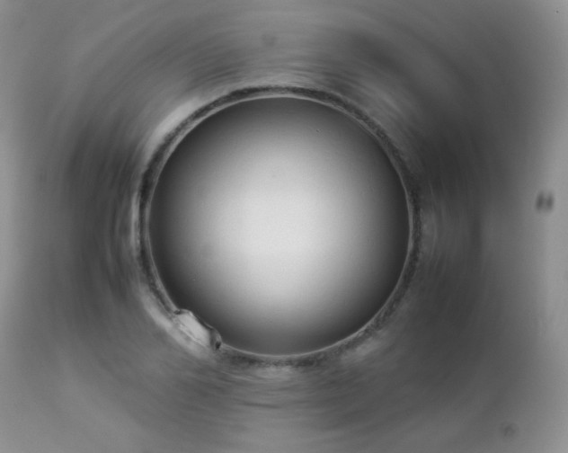 X0000112830982200908211212