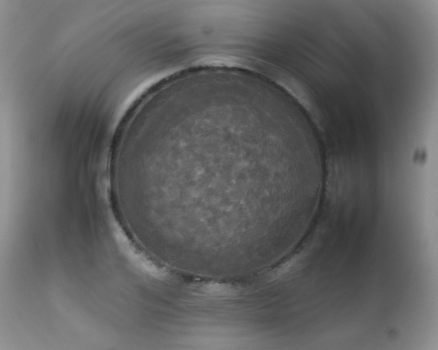 X0000112830984200908211212