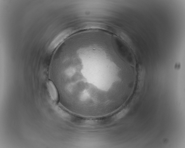 X0000112830985200908211212