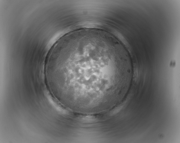 X0000112830986200908211212