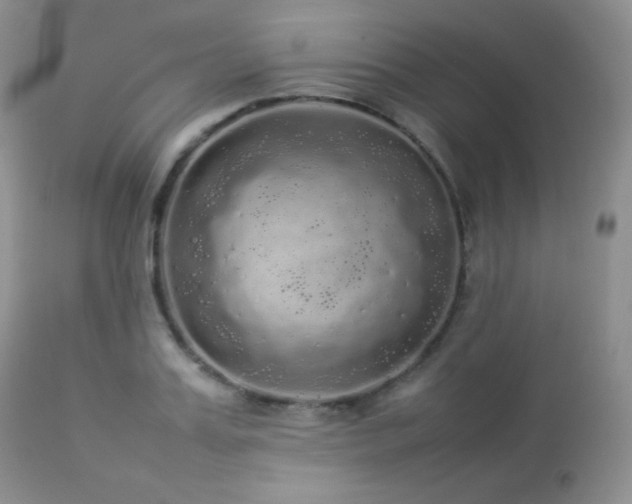 X0000112830987200908211212