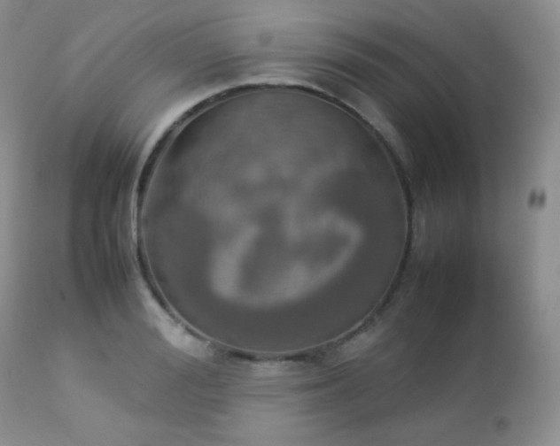 X0000112830988200908211212