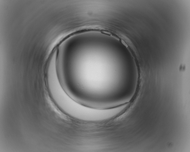 X0000112830989200908211212