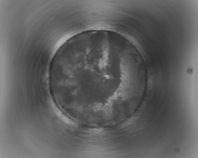 X0000112830990200908211212