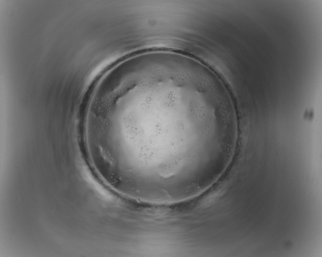 X0000112830991200908211212