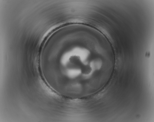 X0000112830992200908211212