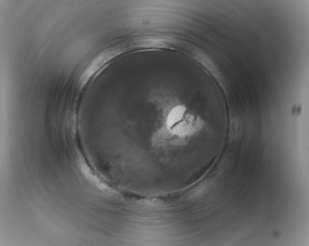 X0000112830994200908211212