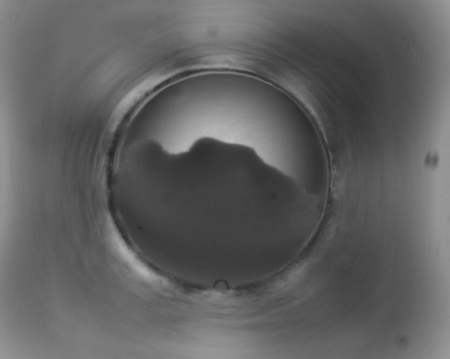 X0000112830995200908211212