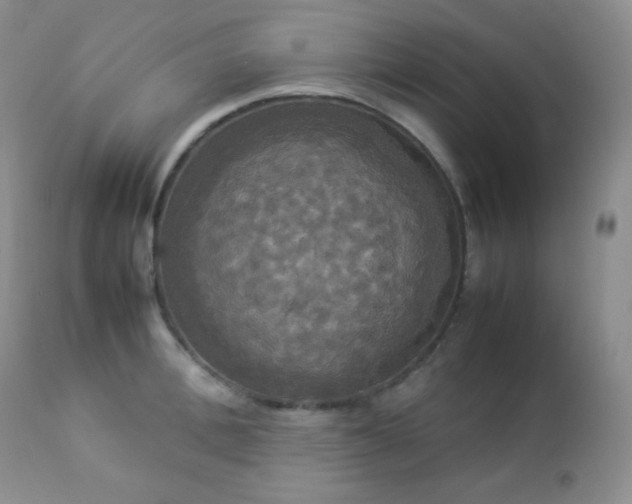 X0000112830996200908211212