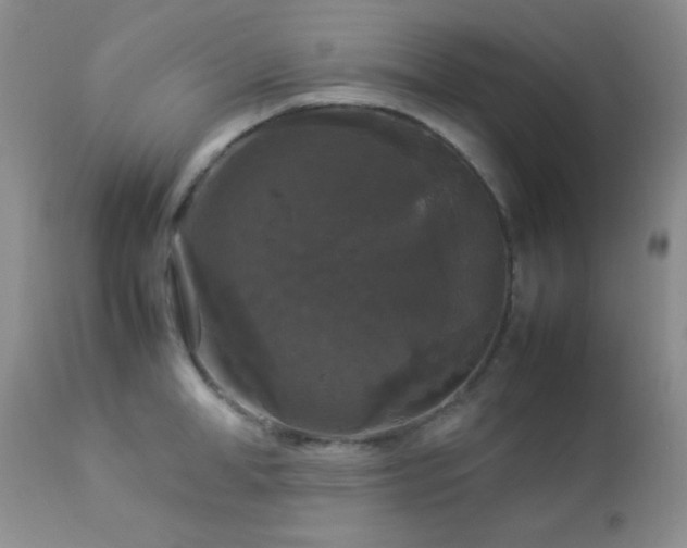 X0000112830998200908211212