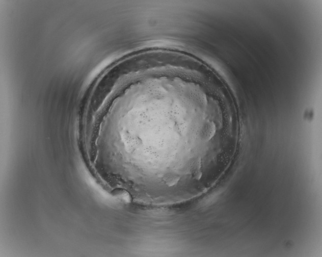 X0000112830999200908211212