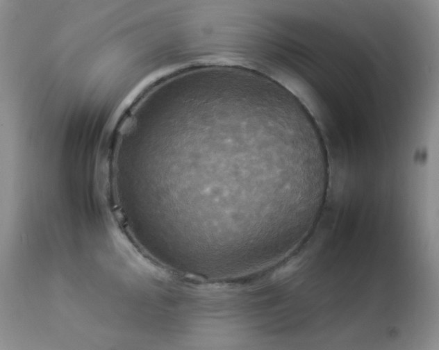 X0000112831000200908211212