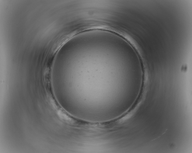 X0000112831001200908211212