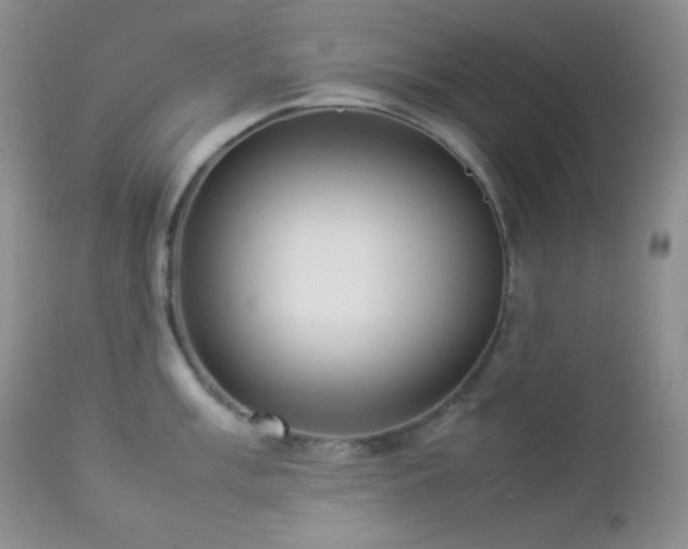 X0000112831003200908211212