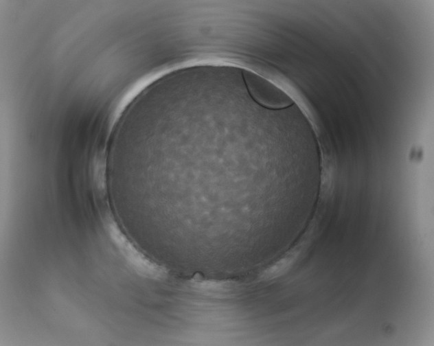 X0000112831004200908211212