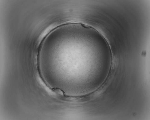 X0000112831005200908211212