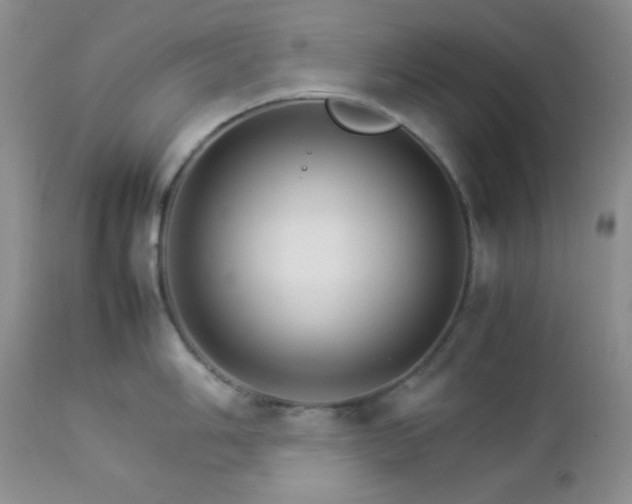 X0000112831006200908211212