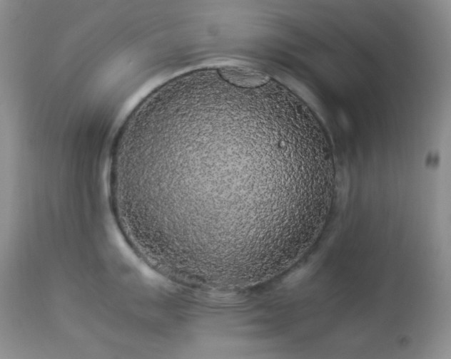 X0000112831007200908211212