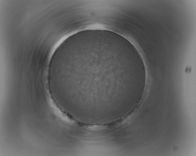 X0000112831008200908211212