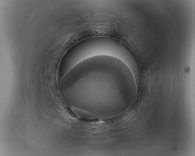 X0000112831009200908211211