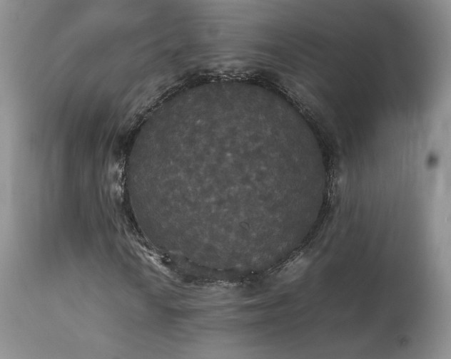 X0000112831010200908211211