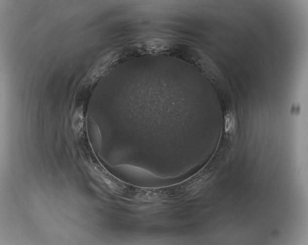 X0000112831011200908211211