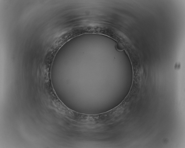X0000112831013200908211211