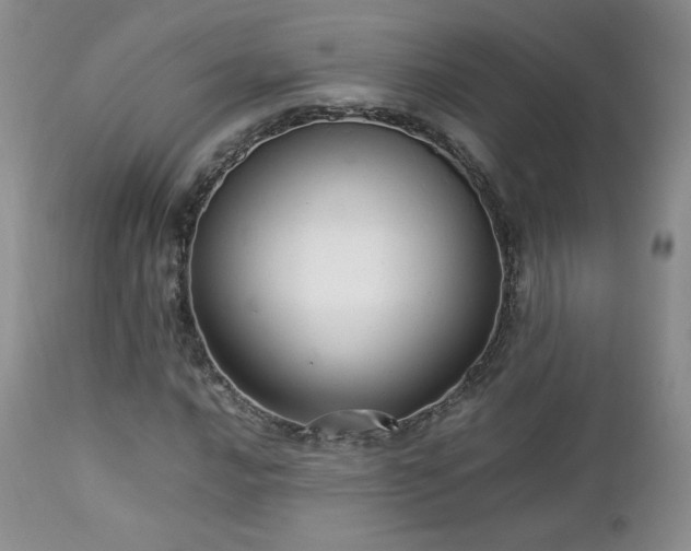 X0000112831016200908211211