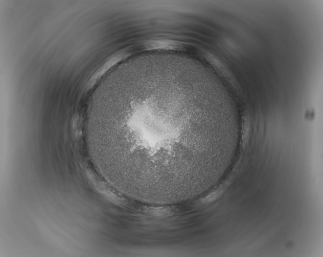 X0000112831017200908211211