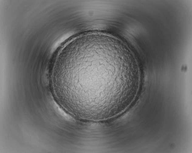 X0000112831018200908211211