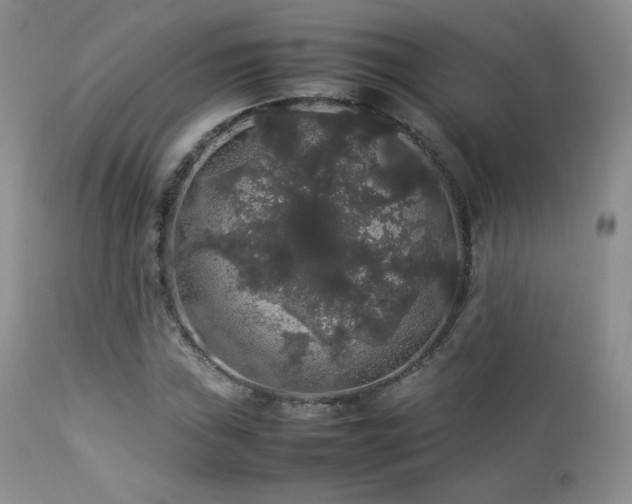 X0000112831019200908211211