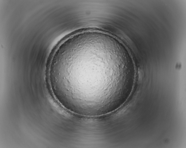 X0000112831020200908211211