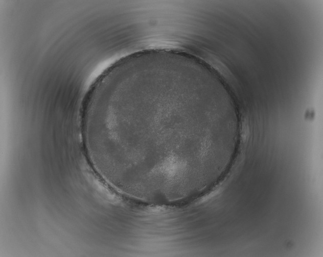 X0000112831022200908211211