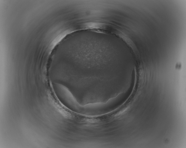 X0000112831023200908211211