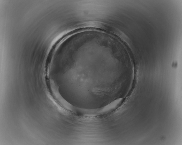 X0000112831024200908211211
