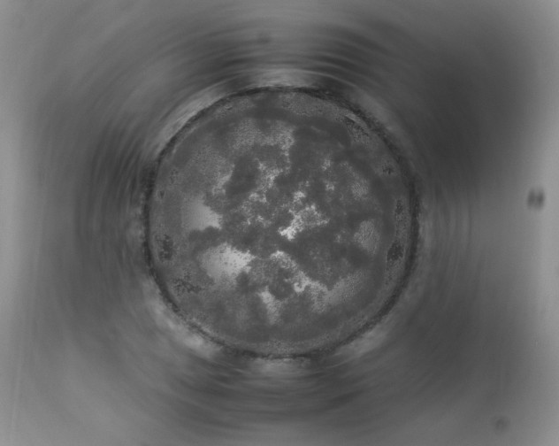 X0000112831025200908211211