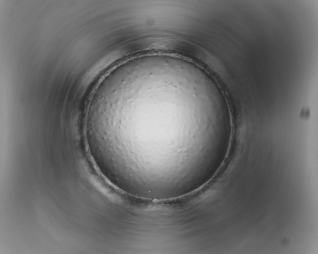 X0000112831026200908211211