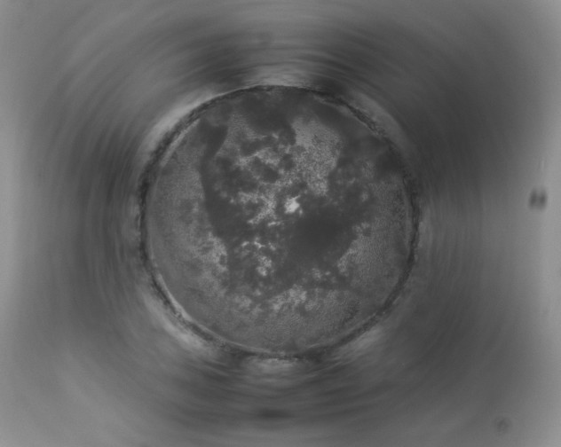 X0000112831027200908211211