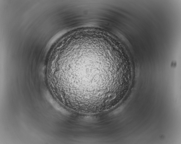 X0000112831029200908211211