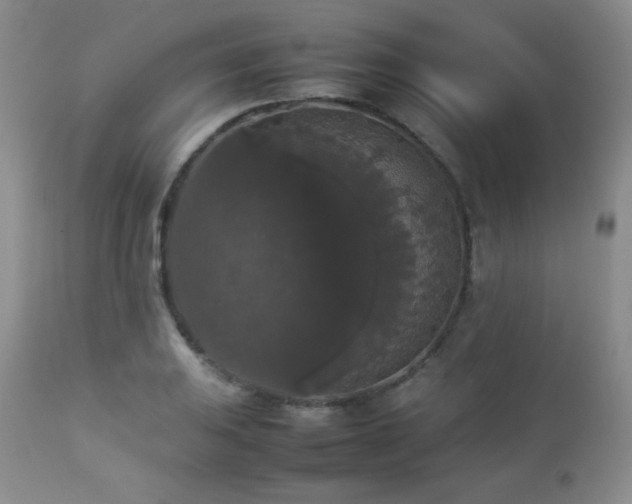 X0000112831031200908211211