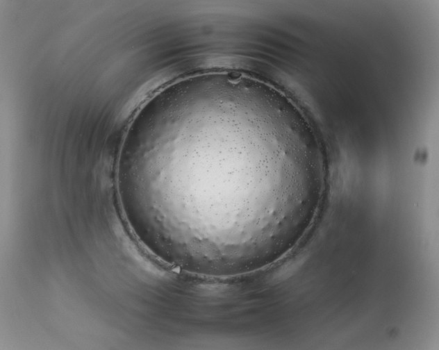 X0000112831033200908211212