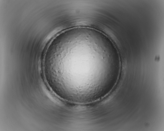 X0000112831034200908211212