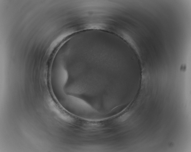 X0000112831035200908211212