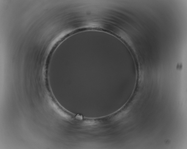 X0000112831037200908211212