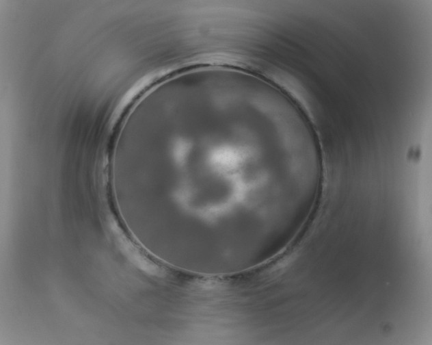 X0000112831040200908211212