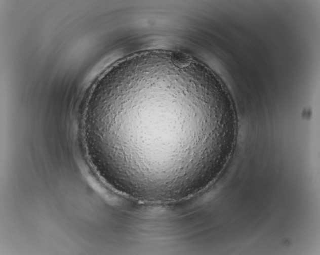 X0000112831042200908211212