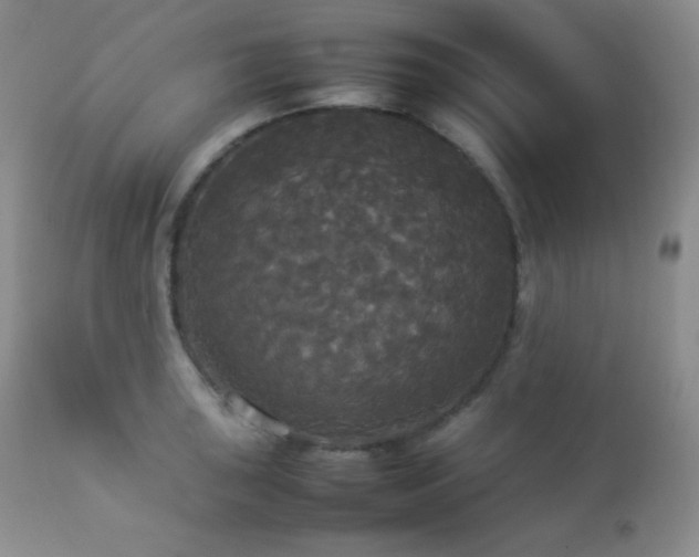 X0000112831043200908211212