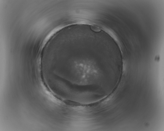 X0000112831048200908211212