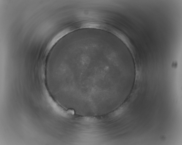 X0000112831050200908211212